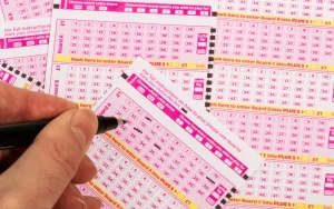 Bodoland Lottery Result